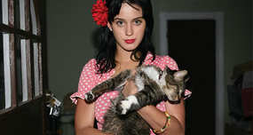 Katy Perry has a cat named Kitty Purry.