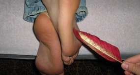 The Fear of being Tickled by Feathers is Known as Pteronophobia